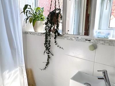 Picture 20